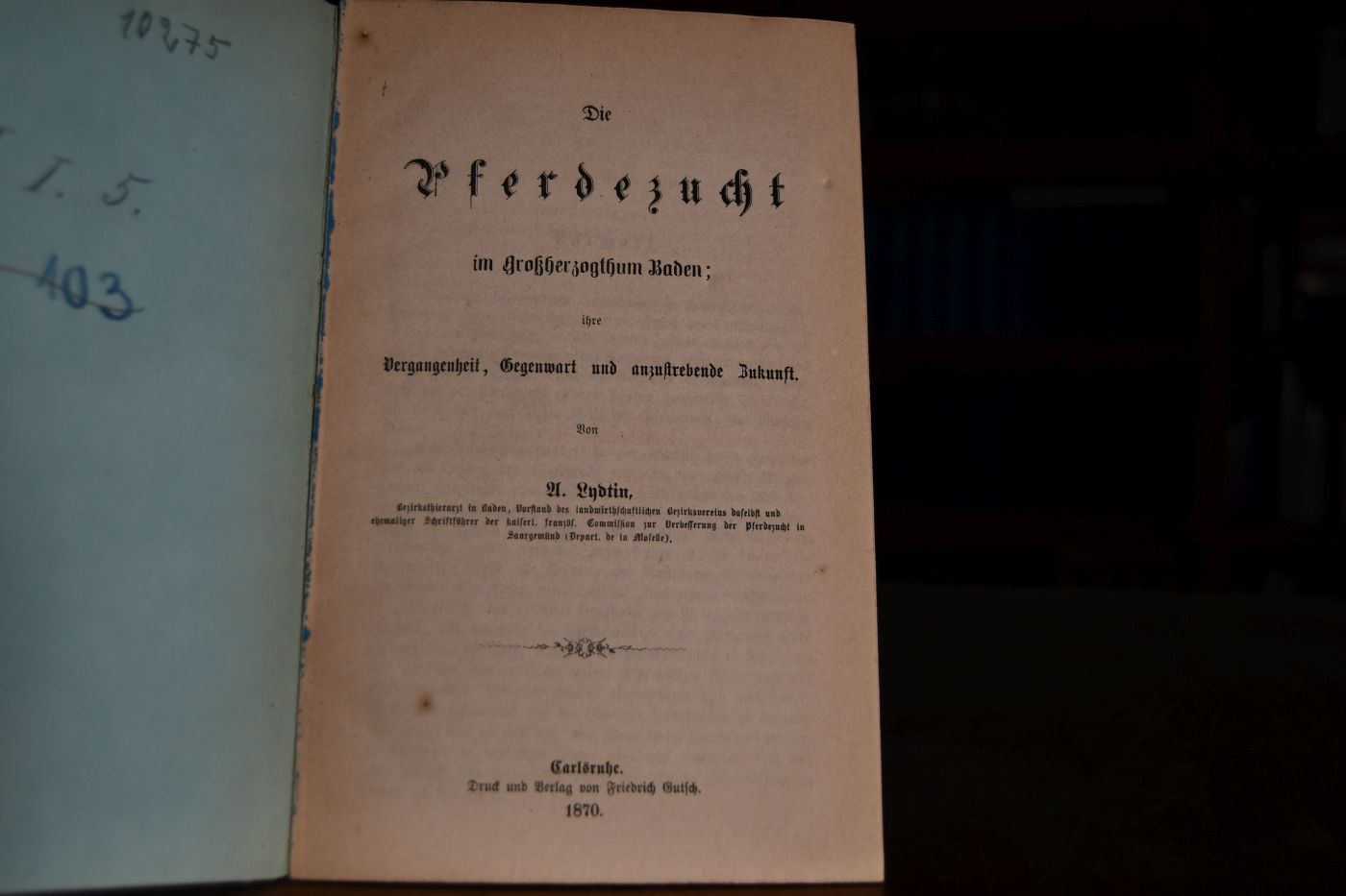 Die Pferdezucht im Großherzogthum Baden; ihre Vergangenheit, Gegenwart und anzustrebende Zukunft.