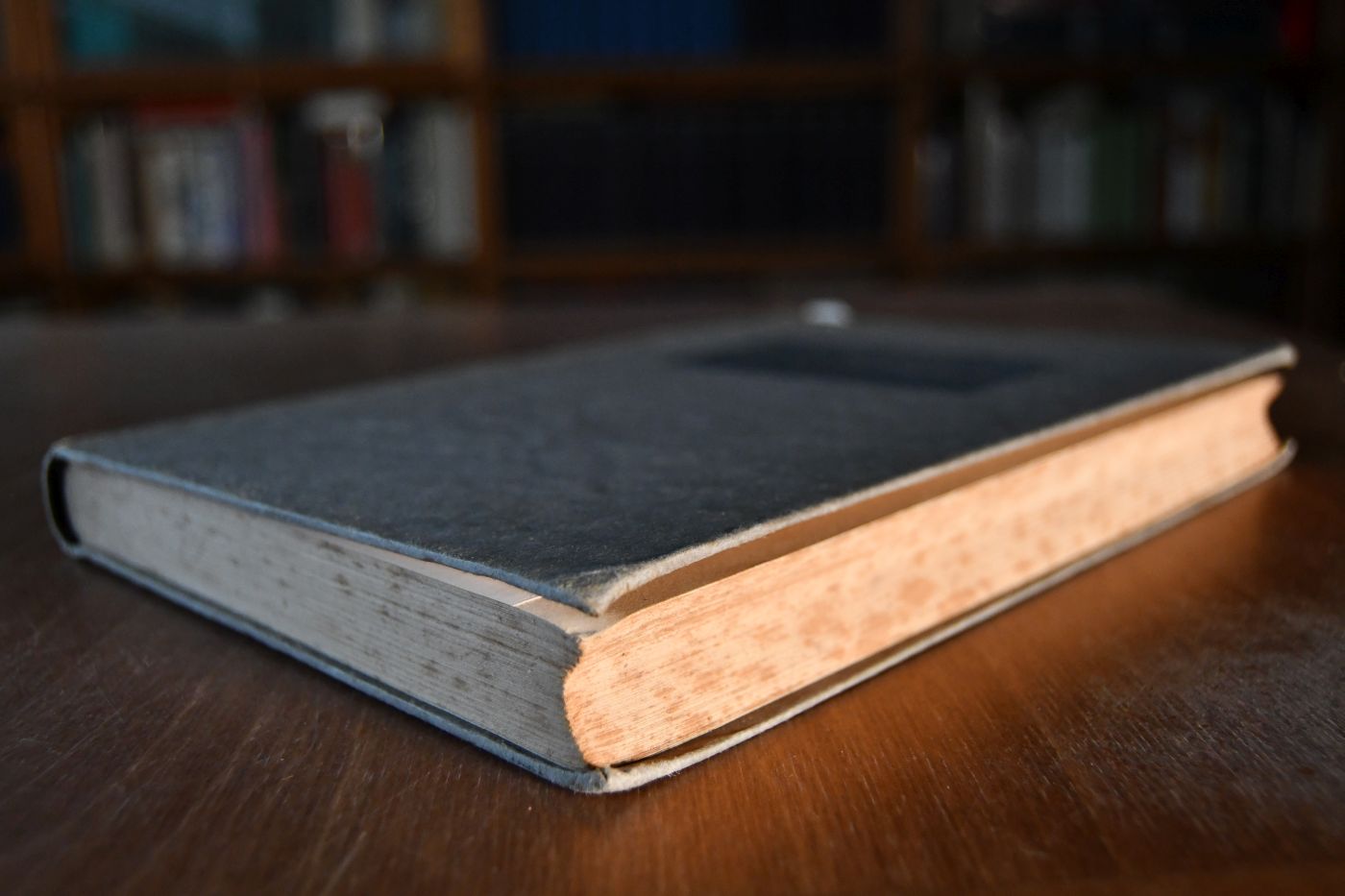 Das Vollblutpferd, Entstehung und Entwicklung der Vollblutzucht und der Rennprüfungen und ihr Wert für andere Zuchten.