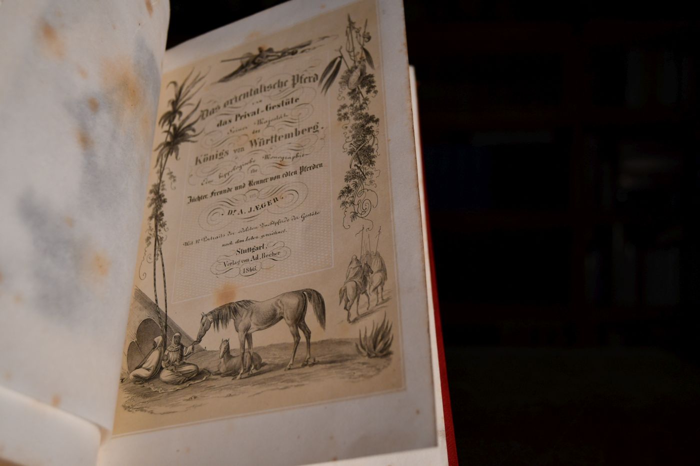 Das orientalische Pferd und das Privat-Gestüte Sr. Majestät des Königs von Württemberg. Eine hippologische Monographie.