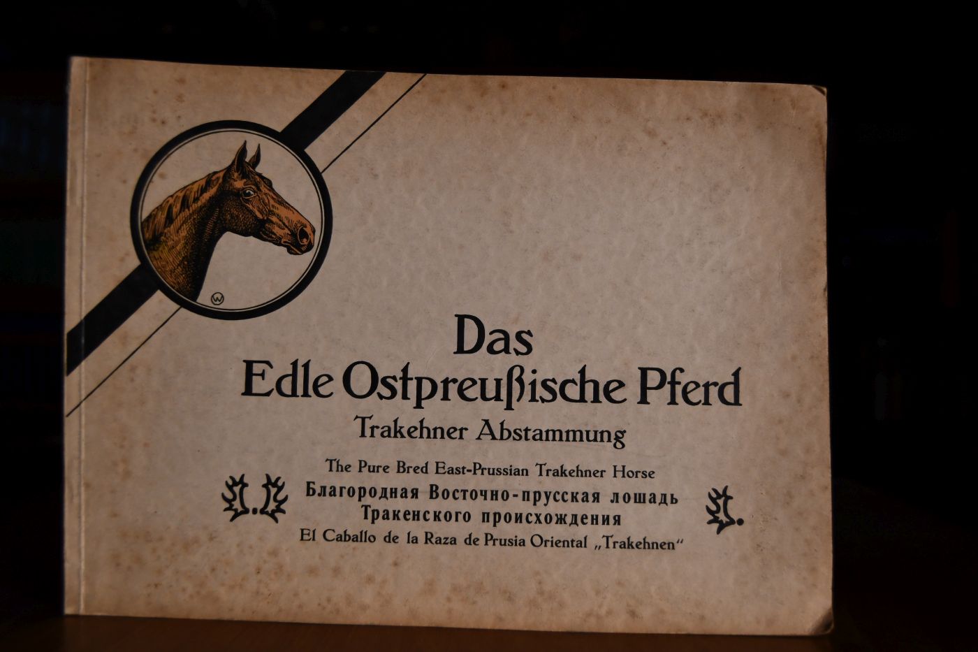 Das edle Ostpreußische Pferd Trakehner Abstammung,The pure bred East-prussian Trakehner Horse, El caballo de la Raza de Prusia Oriental "Trakehnen".