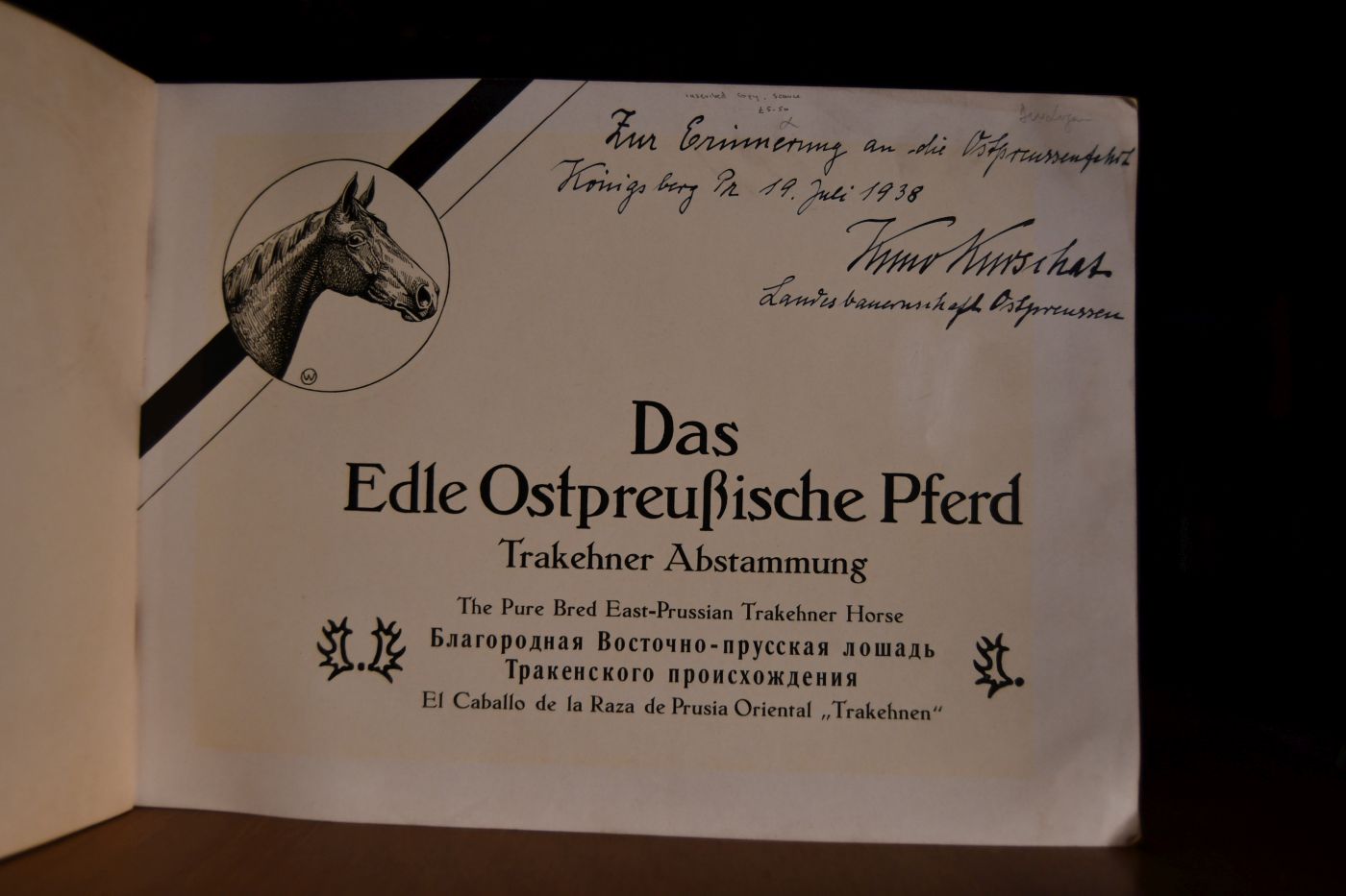 Das edle Ostpreußische Pferd Trakehner Abstammung,The pure bred East-prussian Trakehner Horse, El caballo de la Raza de Prusia Oriental "Trakehnen".