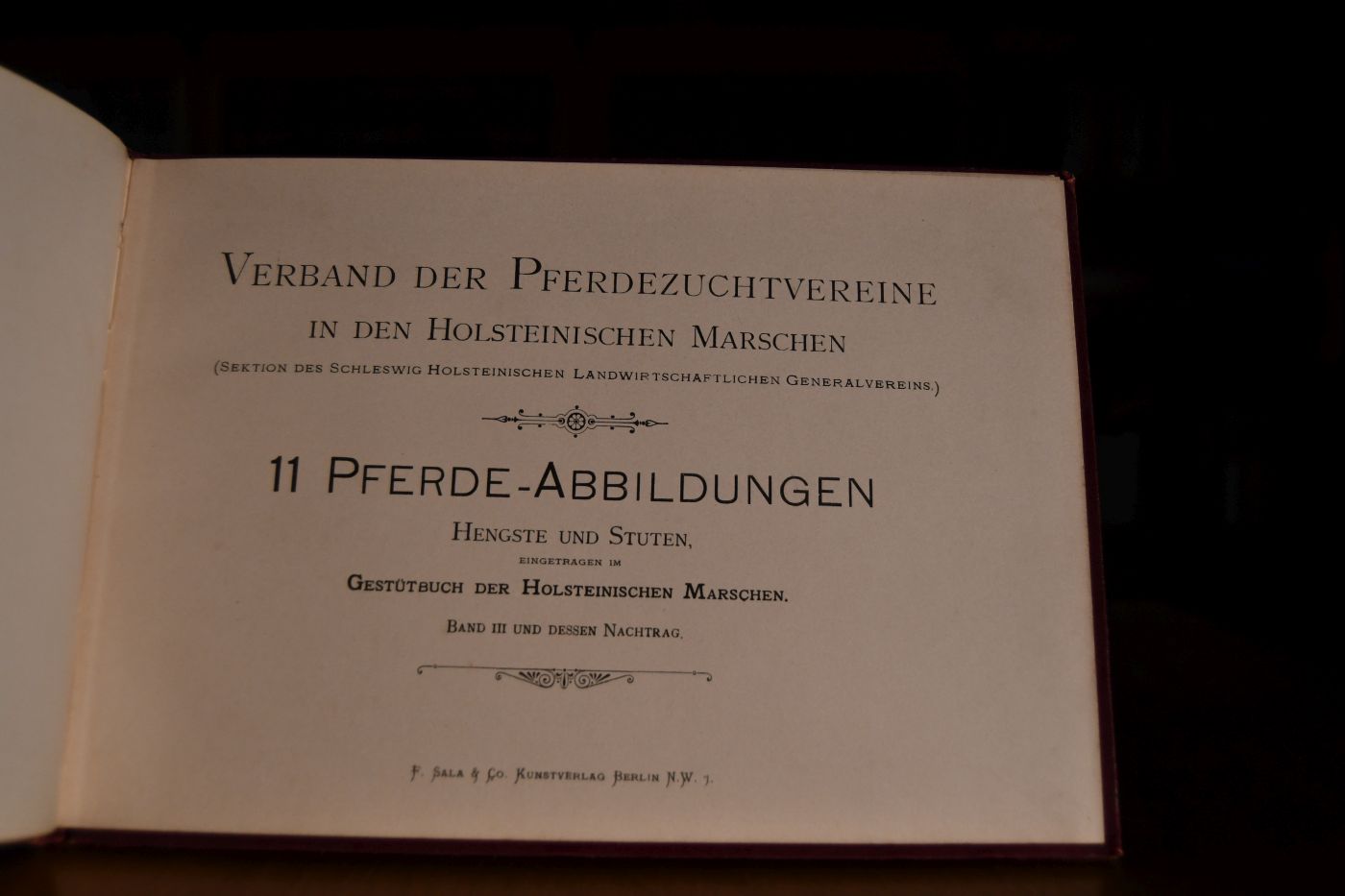 Verband der Pferdezuchtvereine in den Holsteinischen Marschen (Sektion des Schleswig Holsteinischen Landwirtschaftlichen Generalvereins). 11 Pferde-Abbildungen, Hengste und Stuten eingetragen im Gestütbuch der Holsteinischen Marschen Band III und dessen Nachtrag.