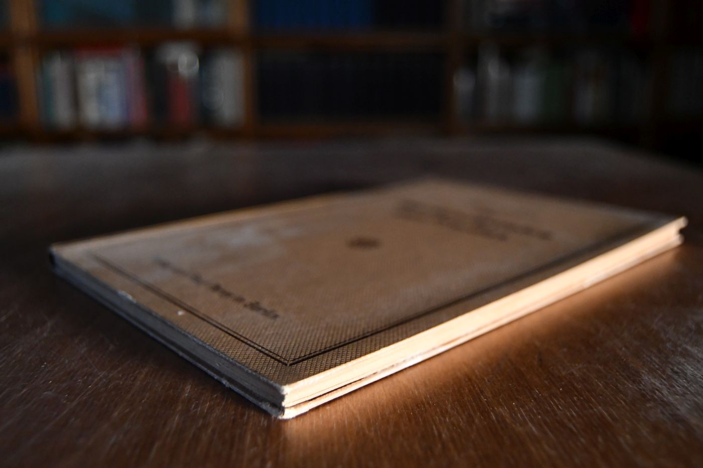 Die Beurteilungslehre des Pferdes.