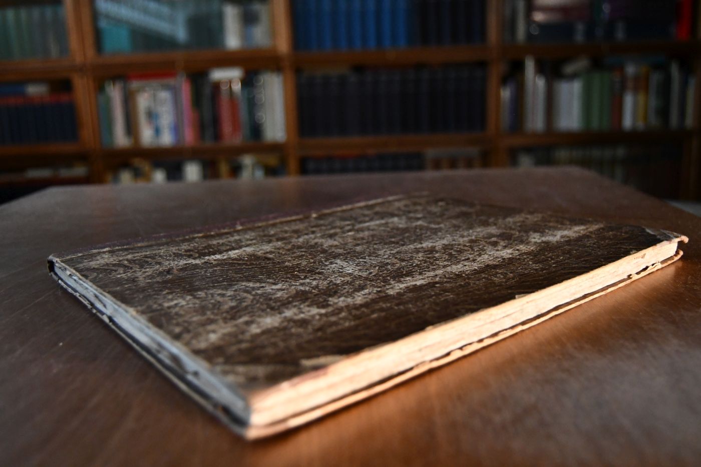 Über die Erkenntniss des Pferdealters aus den Zähnen. Beigebunden Freiherr Hammer-Purgstall Das Pferd bei den Arabern (vorgelegt in den Sitzungen der Philosophisch-Historischen Classe im Juni 1854), S. 211-246.