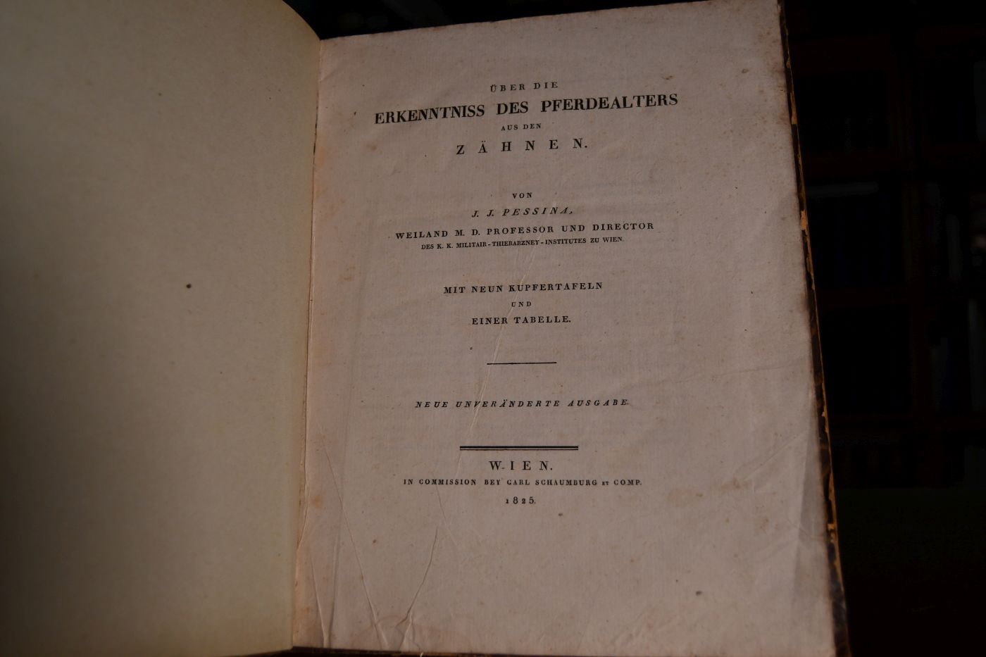 Über die Erkenntniss des Pferdealters aus den Zähnen. Beigebunden Freiherr Hammer-Purgstall Das Pferd bei den Arabern (vorgelegt in den Sitzungen der Philosophisch-Historischen Classe im Juni 1854), S. 211-246.