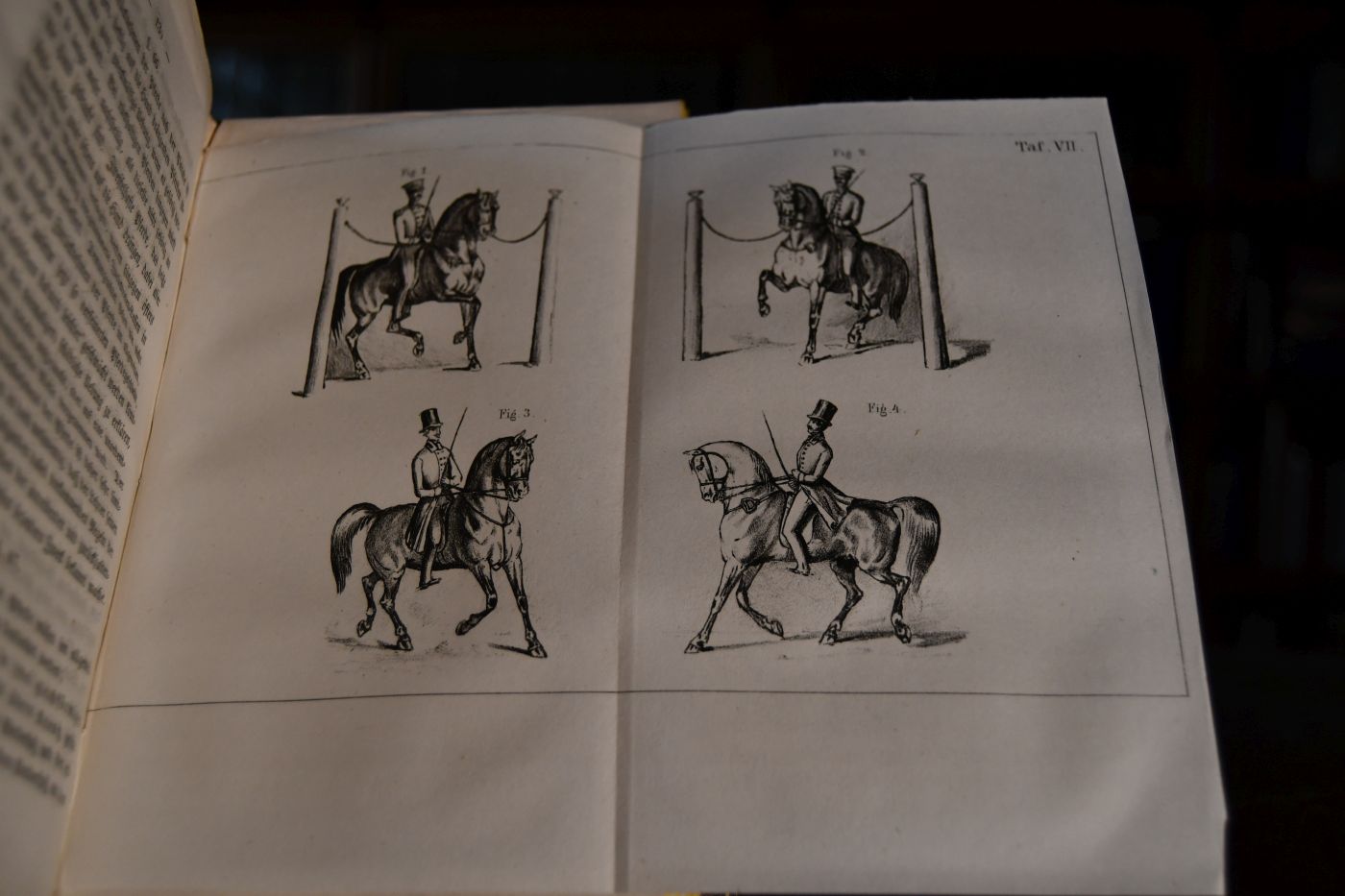 Militair- und Civil-Reiter-Schule neuerer Zeit zur gründlichen Anleitung in der einzig wahren Reiter-Praxis mit XIV Original Steindrücken (mit 54 Figuren).