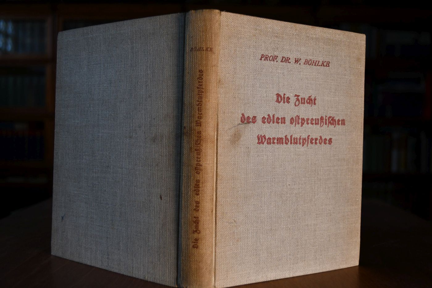 Die Zucht des edlen ostpreußischen Warmblutpferdes. Eine kritische Studie.