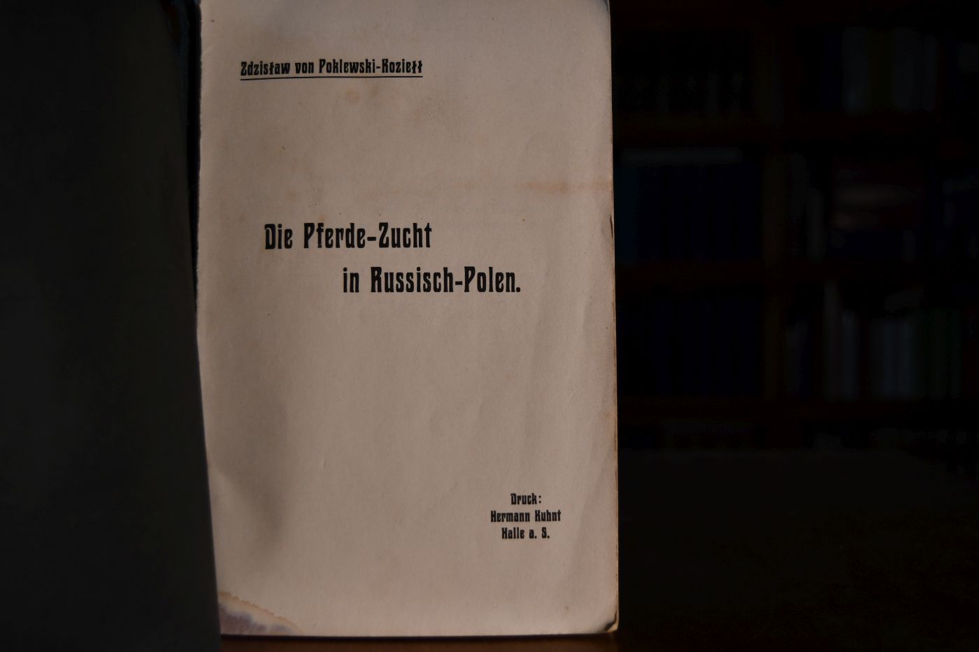 Die Pferde-Zucht in Russisch-Polen.