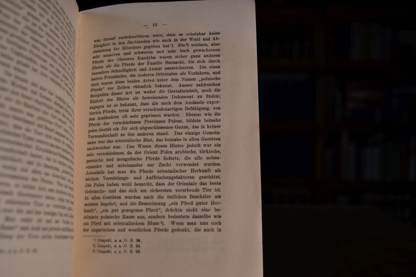 Die Pferde-Zucht in Russisch-Polen.