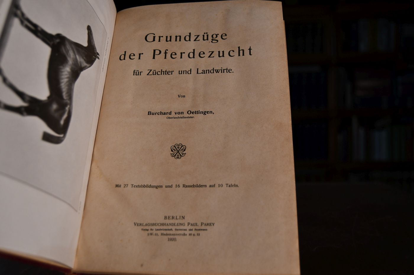 Grundzüge der Pferdezucht für Züchter und Landwirte.