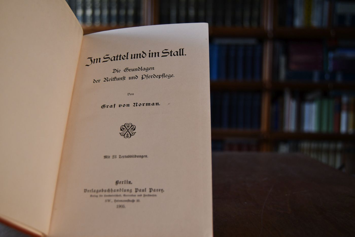 Im Sattel und im Stall. Die Grundlagen der Reitkunst und Pferdepflege.