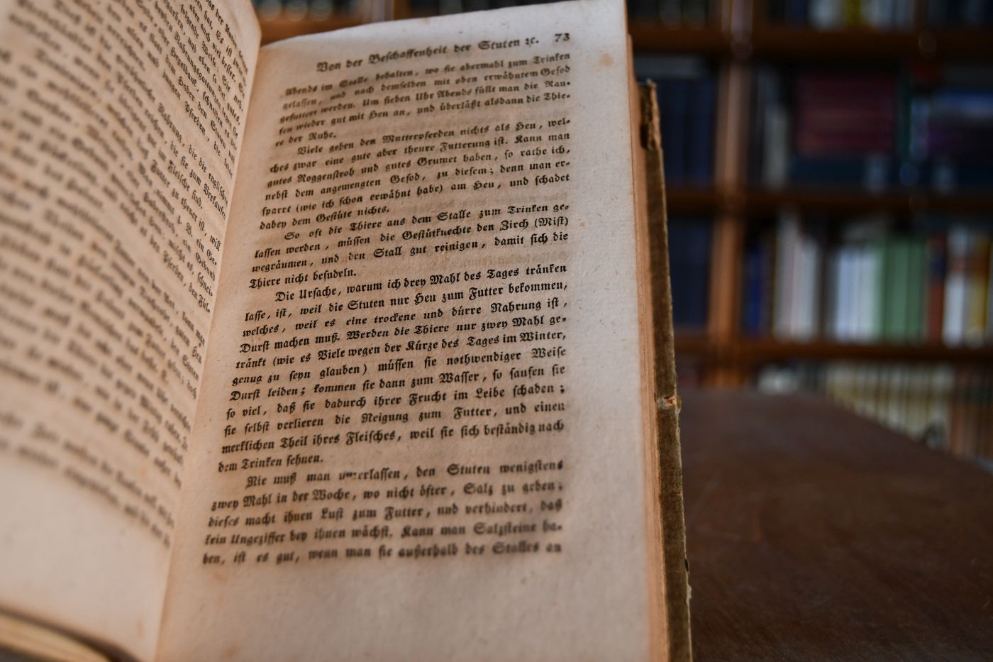 Von der Zucht der Kriegs- und Bürgerpferde. Aus dem Altdeutschen nach der Originalausgabe von 1578 übersetzt, mit Anmerkungen und einem zweyten Theile (Bruchstücke über wilde, halbwilde Militär- und Landgestüte) vermehrt herausgegeben von Johann Gottlieb Wolstein. 2 Teile in einem Band.
