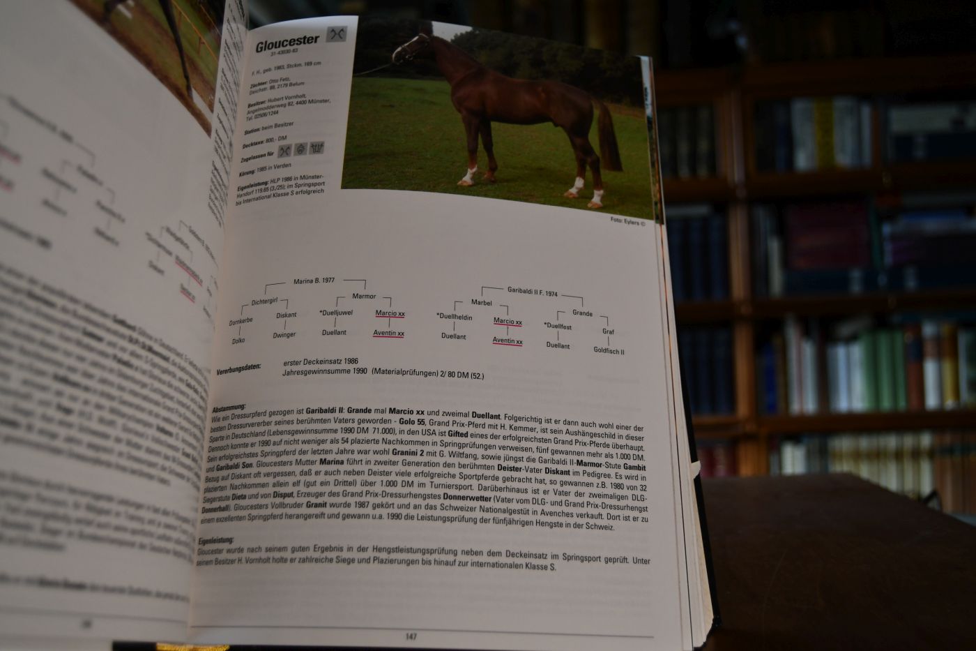 Deutsches Hengstregister. Das Jahrbuch der Hengste.