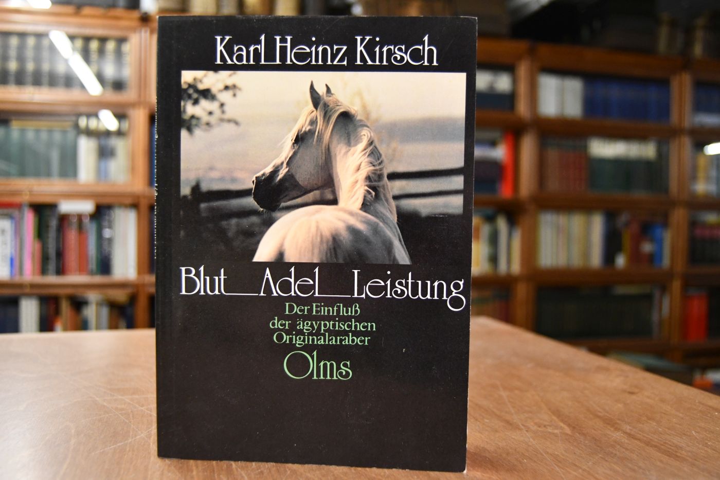 Blut - Adel - Leistung. Der Einfluss der ägyptischen Originalaraber.