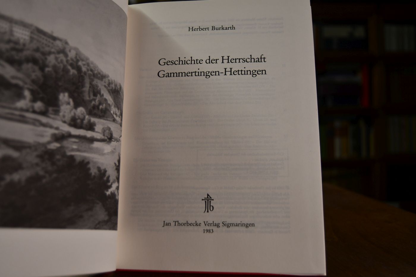 Geschichte der Herrschaft Gammertingen-Hettingen.