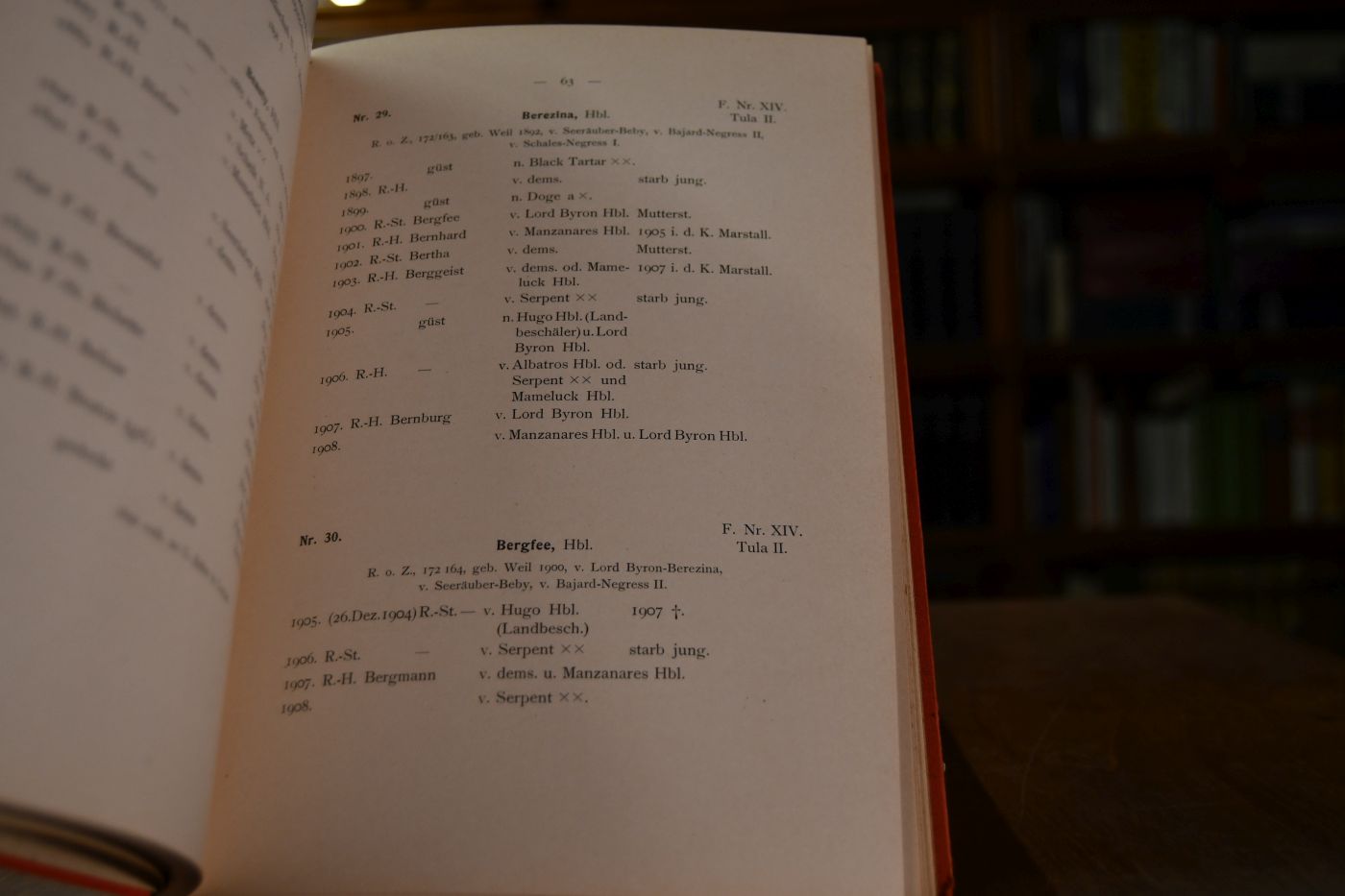 Stutbuch von Weil, Weil-Marbach. 2 Bde.
