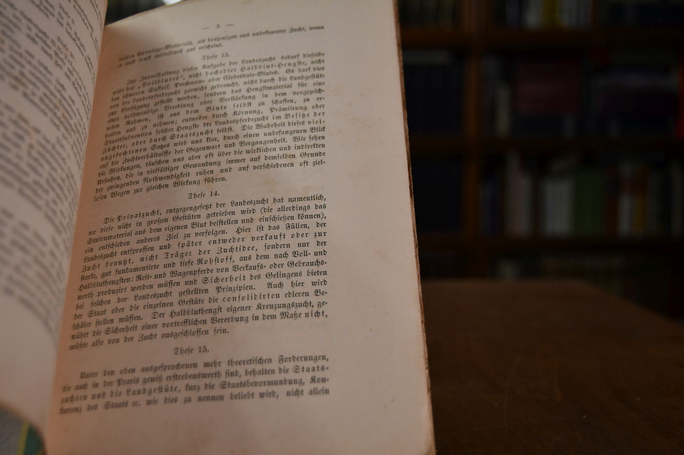 Promemoria und 99 Thesen zur Deutschen Pferdezuchtfrage. "Altes und Neues"