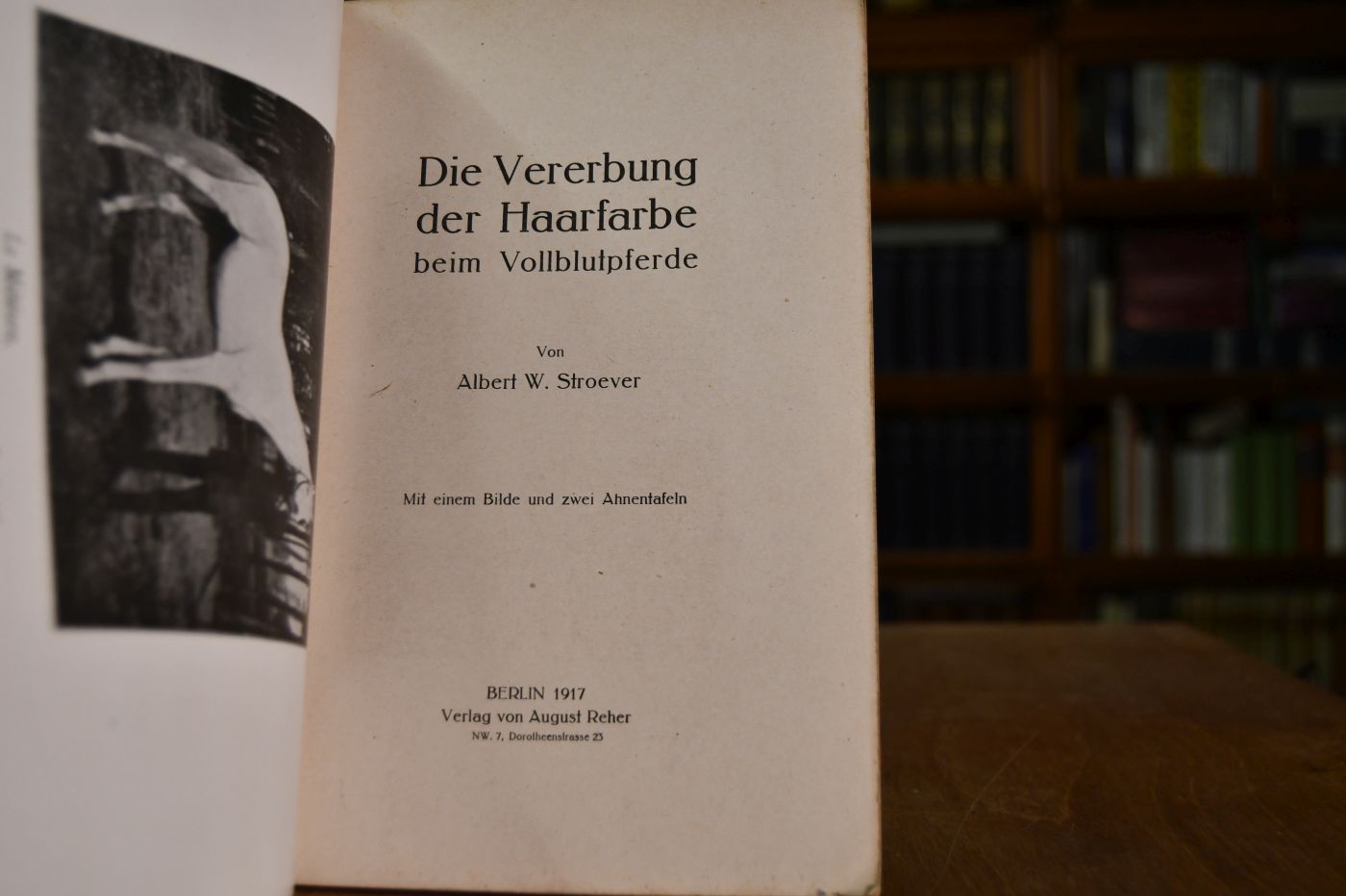 Die Vererbung der Haarfarbe beim Vollblutpferde.