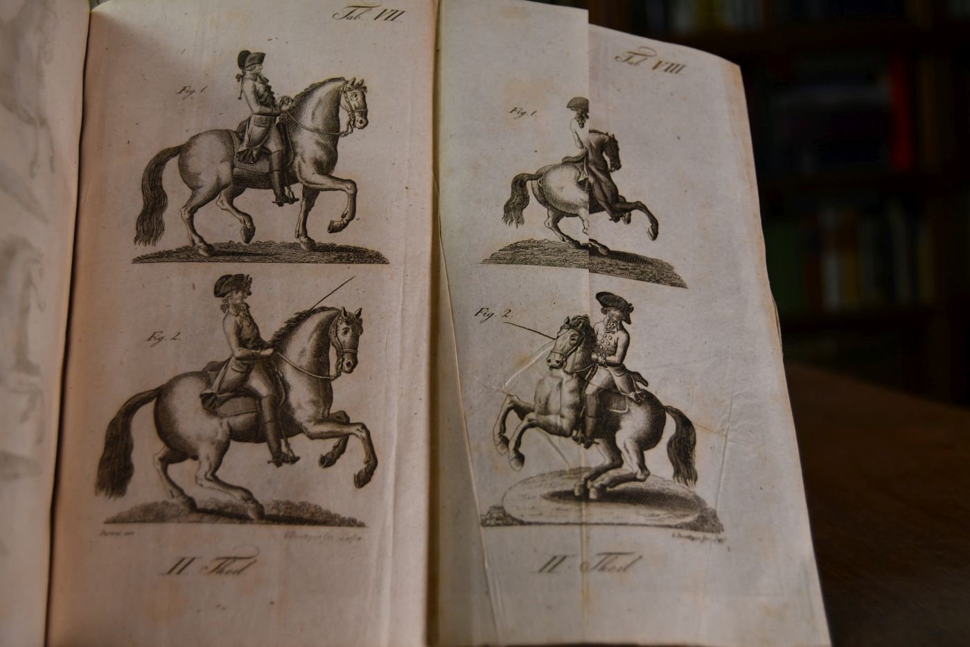 Des Herrn de la Gueriniere Reitkunst oder gründliche Anweisung zur Kenntniß der Pferde, deren Erziehung, Unterhaltung, Abrichtung, nach ihrem verschiedenen Gebrauch und Bestimmung / übersetzt von J. Daniel Knöll.