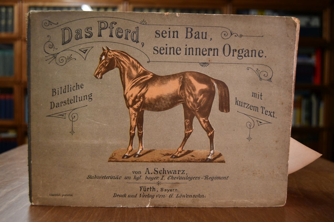Das Pferd, sein Bau, seine inneren Organe. Bildliche Darstellung mit kurzem Text. Pferdeliebhabern und Pferdebesoitzern gewidmet, auch zum Unterricht an Unteroffiziere und Freiwillige der berittenen Waffengattungen bestimmt.