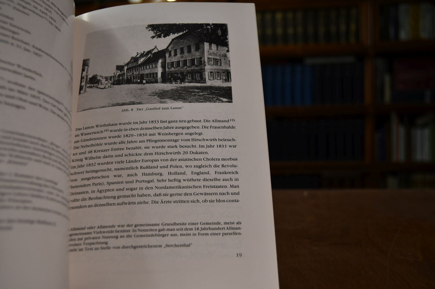 Beiträge zur Pfullinger Geschichte. Ortschronik von Pfullingen seit 1830.