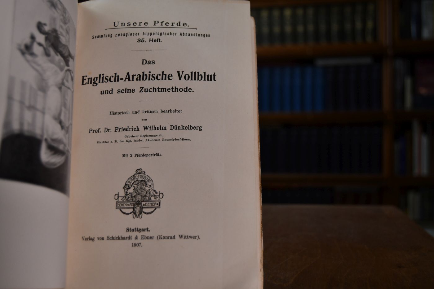 Das Englisch-Arabische Vollblut und seine Zuchtmethode.