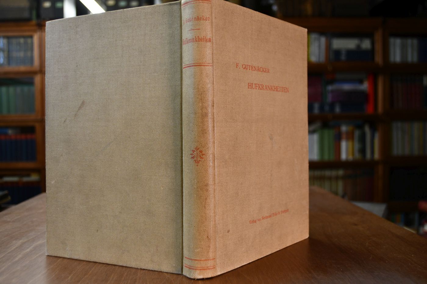 Die Hufkrankheiten des Pferdes. Ihre Erkennung, Verhütung und Heilung für Thierärzte und Studierende der Thiermedicin.