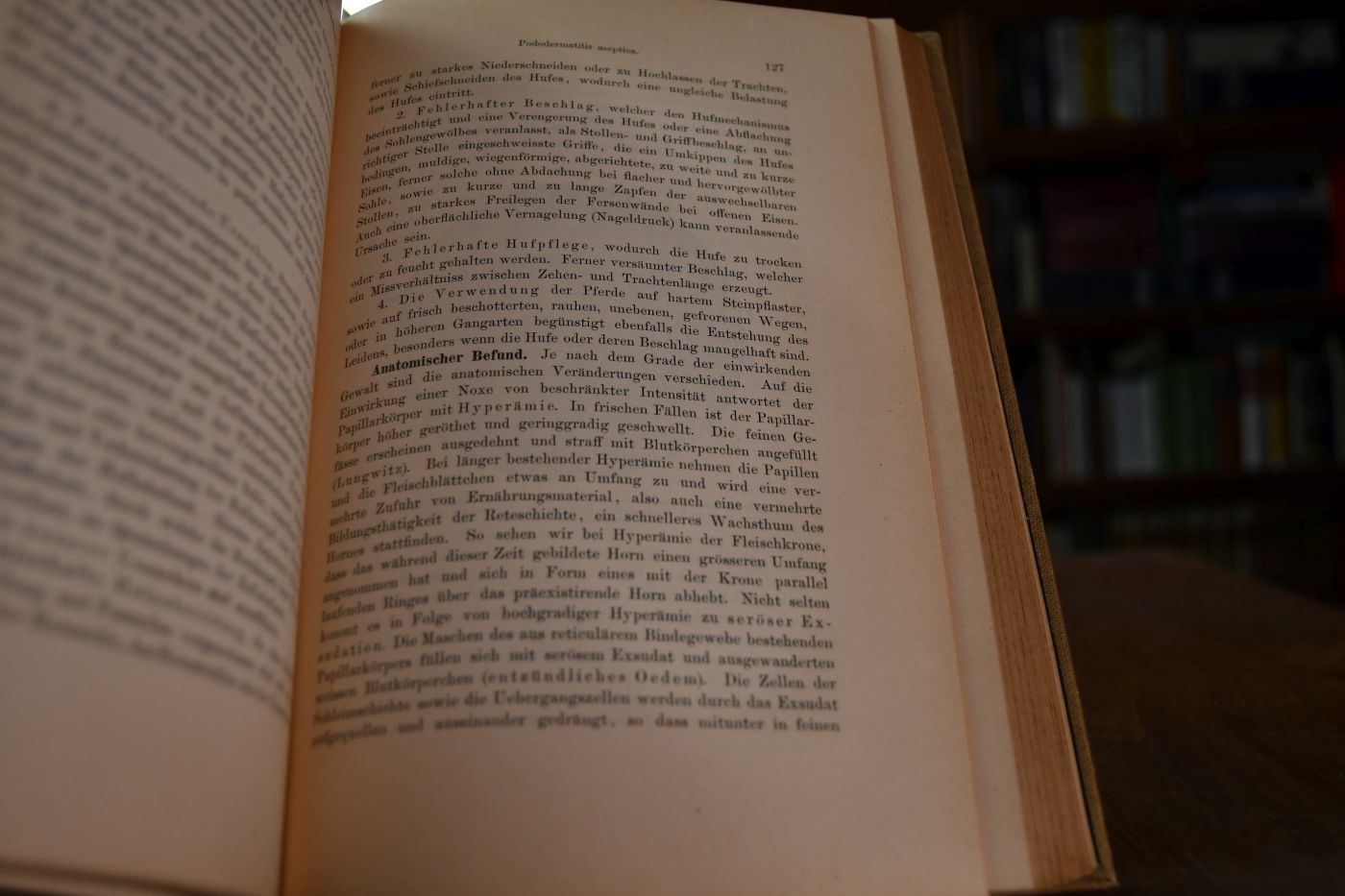 Die Hufkrankheiten des Pferdes. Ihre Erkennung, Verhütung und Heilung für Thierärzte und Studierende der Thiermedicin.
