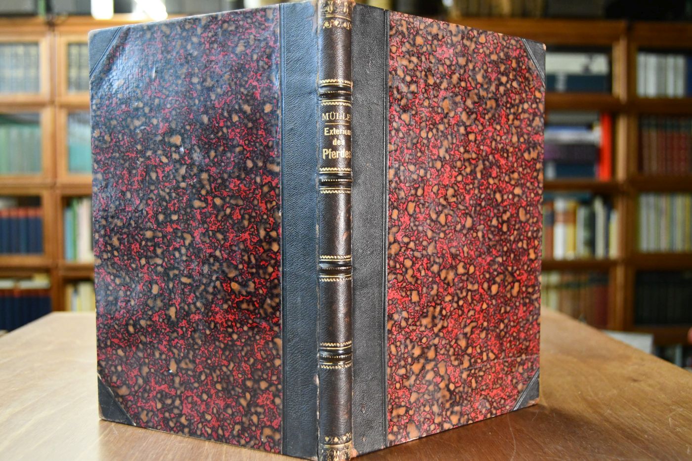 Lehre vom Exterieur des Pferdes oder von der Beurtheilung des Pferdes nach seiner äusseren Form.