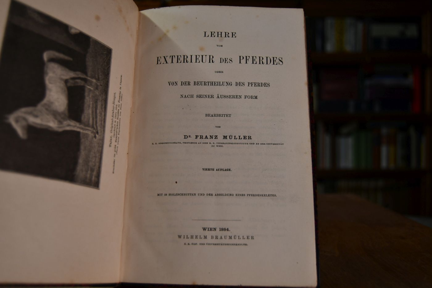 Lehre vom Exterieur des Pferdes oder von der Beurtheilung des Pferdes nach seiner äusseren Form.