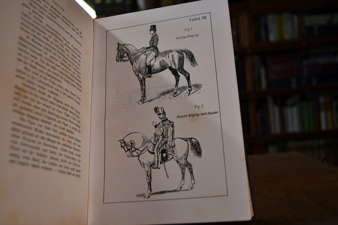 Grundsätze der Dressur und Reitkunst von Gustav Goebel.
