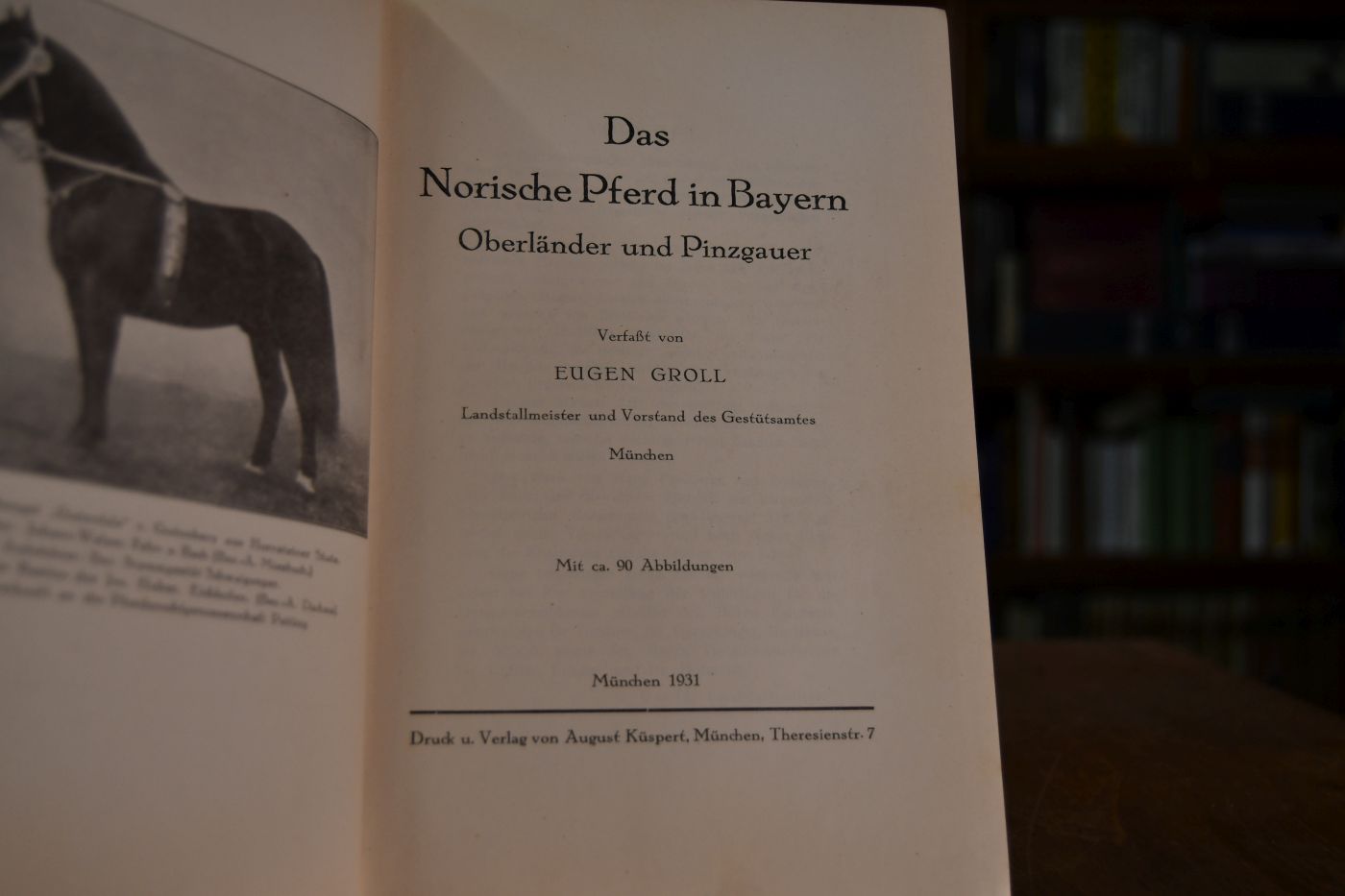 Das norische Pferd in Bayern. Oberländer und Pinzgauer.