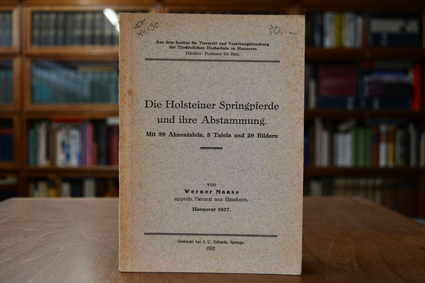 Die Holsteiner Springpferde und ihre Abstammung.