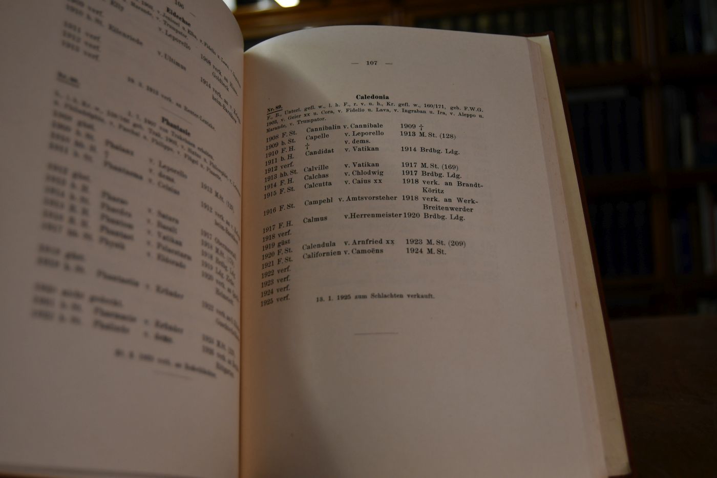 Stutbuch des Preußischen Friedrich-Wilhelm-Gestüts in Neustadt-Dosse.