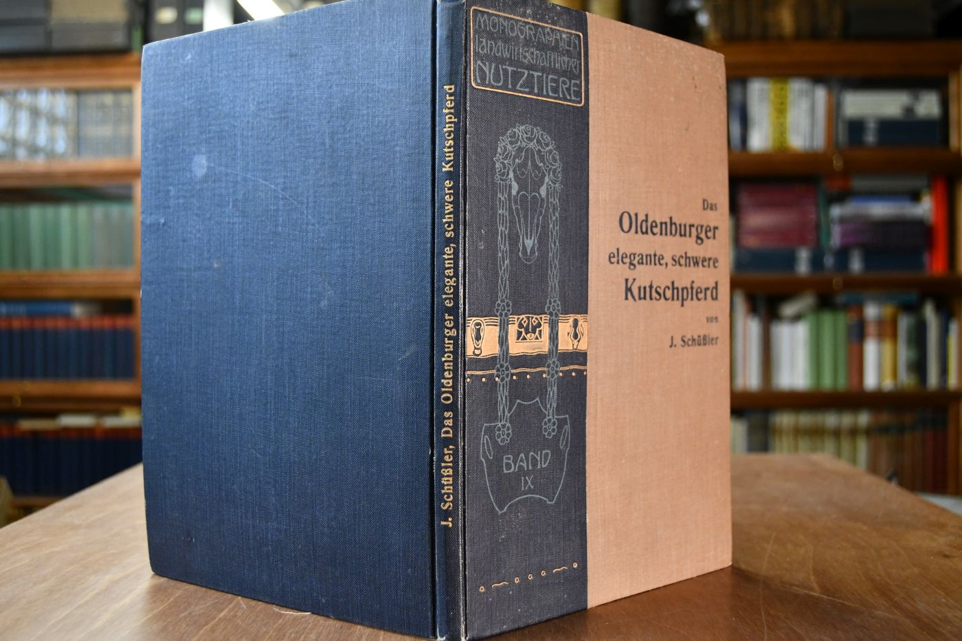 Das Oldenburger elegante, schwere Kutschpferd.