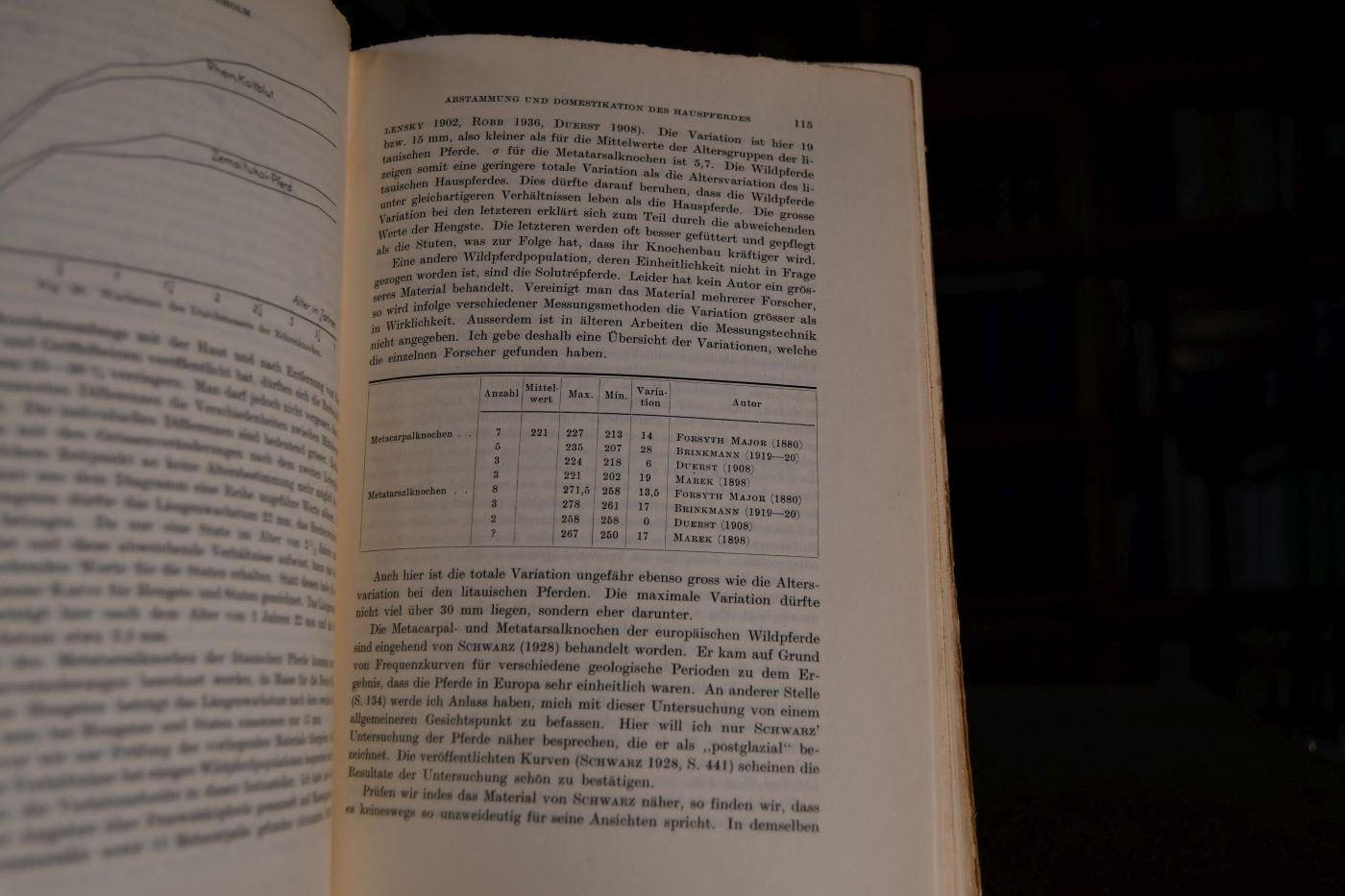 Abstammung und Domestikation des Hauspferdes.