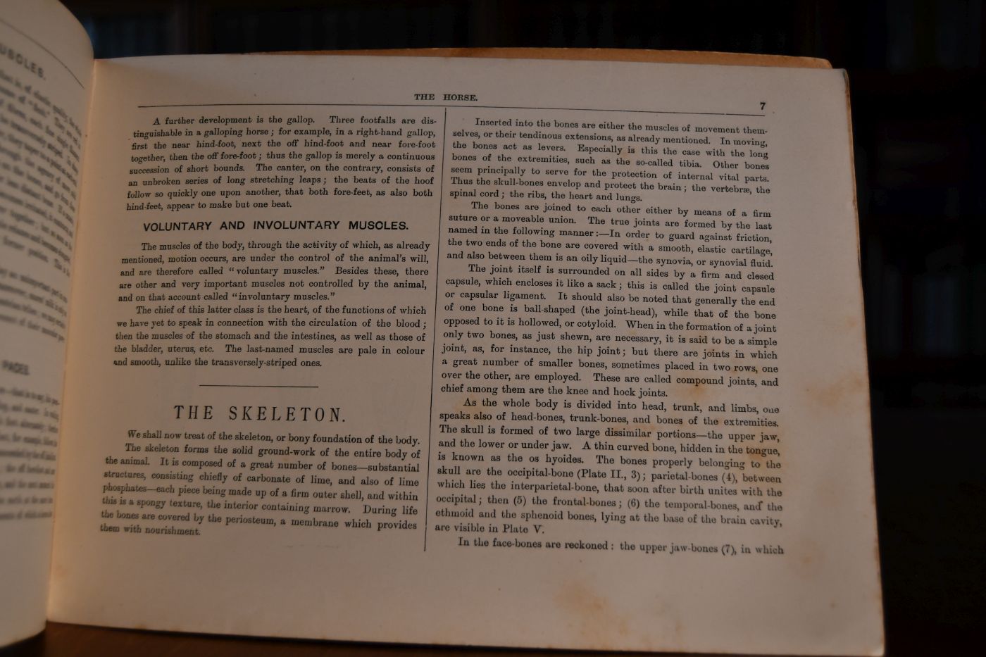 The Horse Its External and Internal Organisation. An illustrated Representation and brief description of the horse, dedicated to lovers and owners of horses, and designed for the instruction of non-commissioned Officers and Volunteers in Cavalry Regiments.