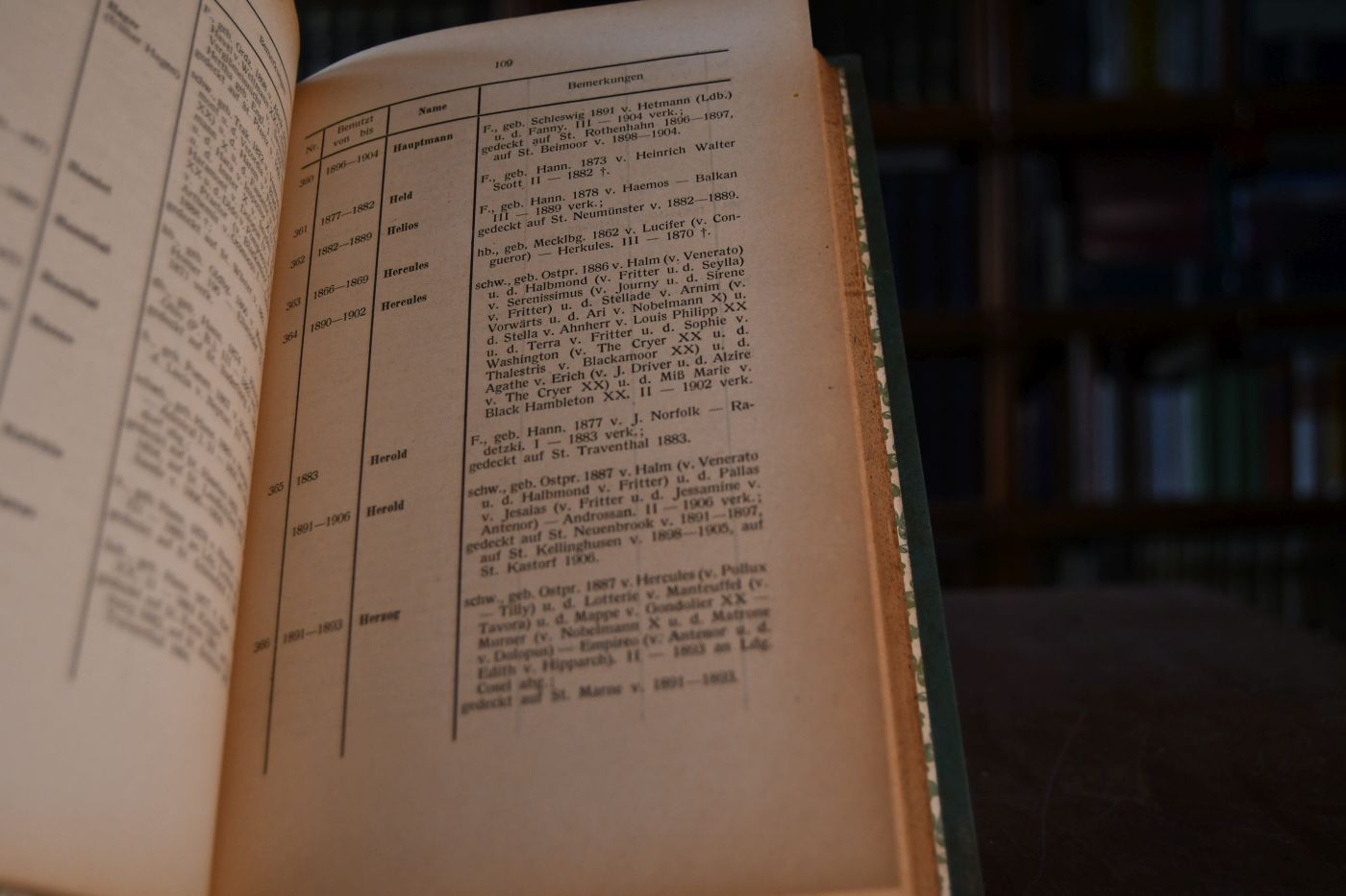 Schleswig-Holsteinisches Stutbuch 2. Bd.