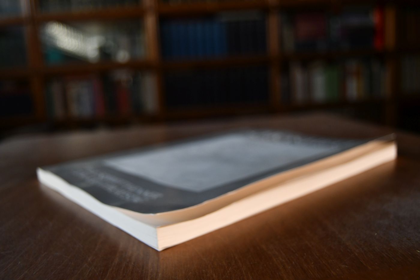 Schönheit ruht in der Ordnung. Paul Schmitthenner zum 100. Geburtstag. Ein Gedenkbuch.