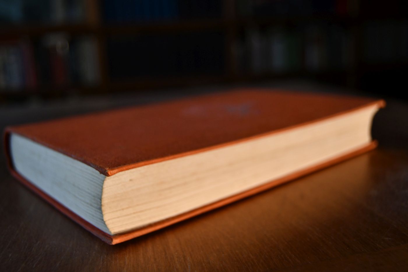 Das neue Reiterbuch.
