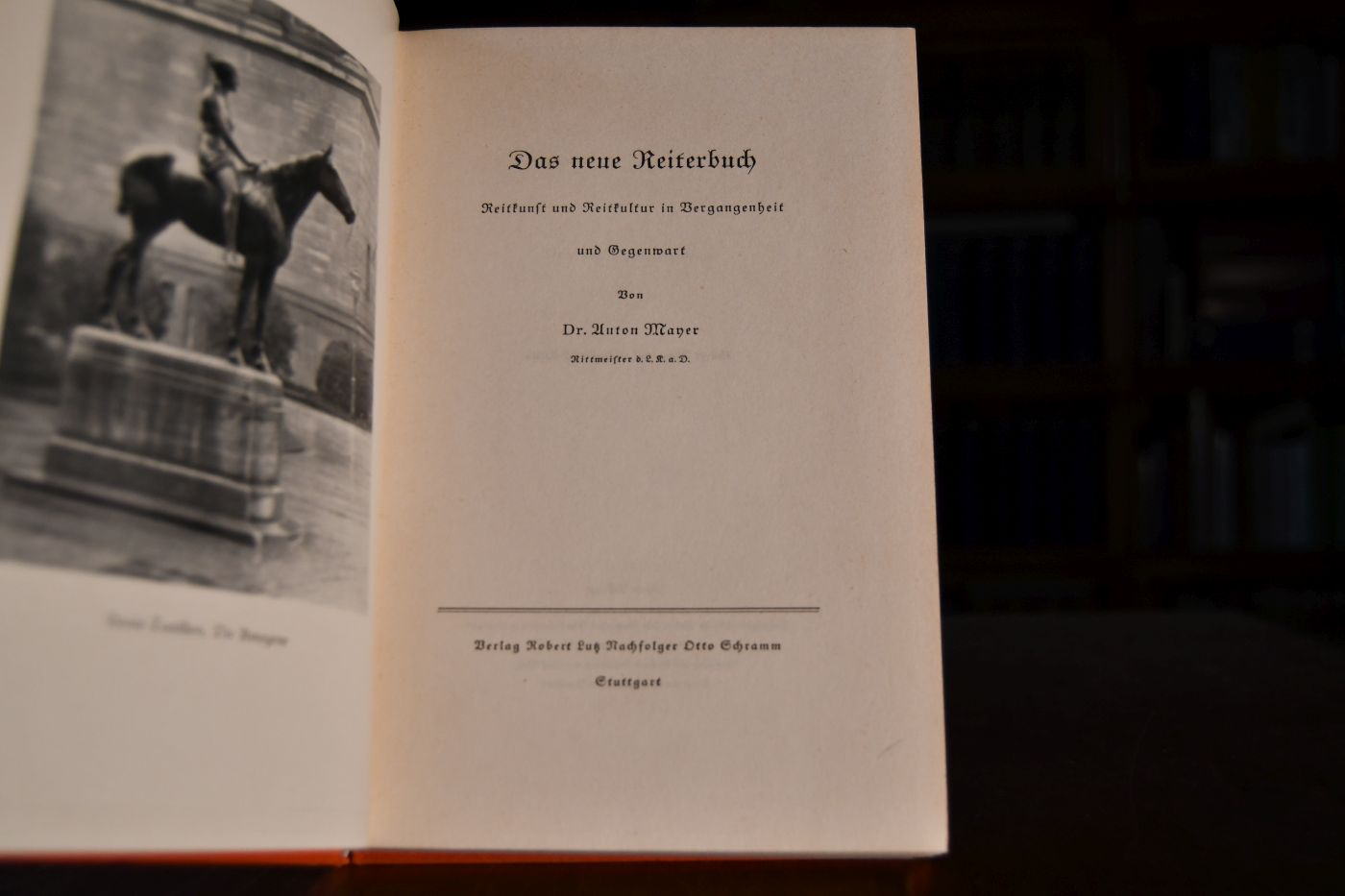 Das neue Reiterbuch.