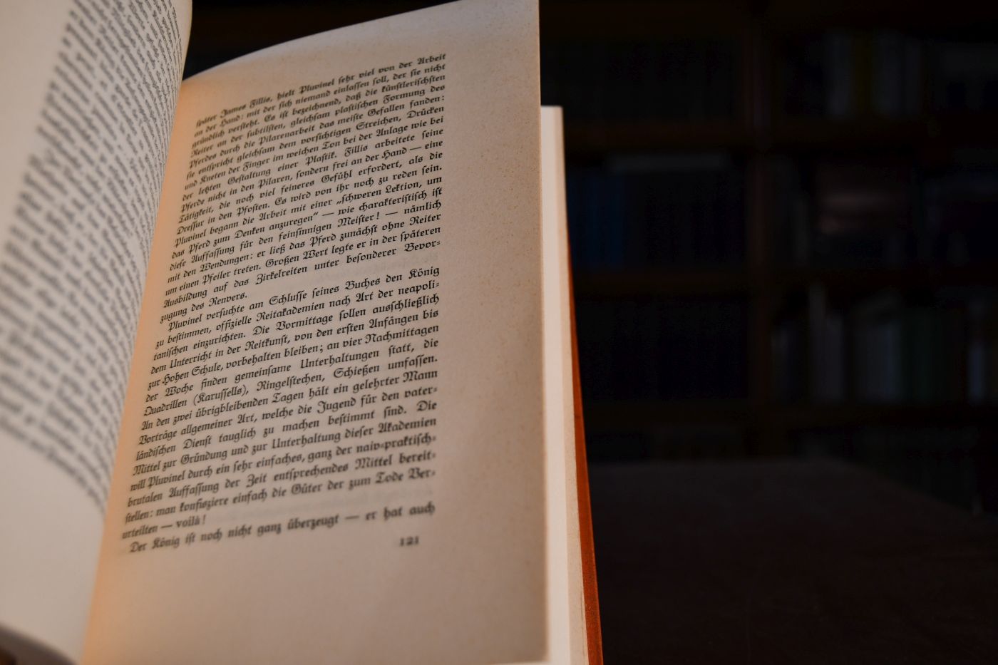 Das neue Reiterbuch.