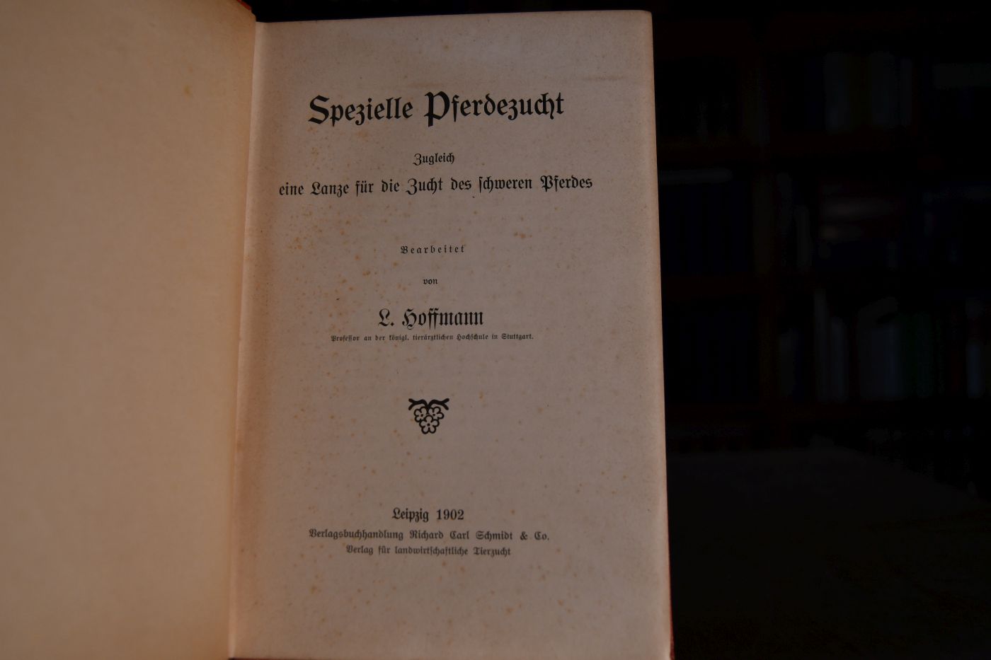 Spezielle Pferdezucht. Zugleich eine Lanze für die Zucht des schweren Pferdes.
