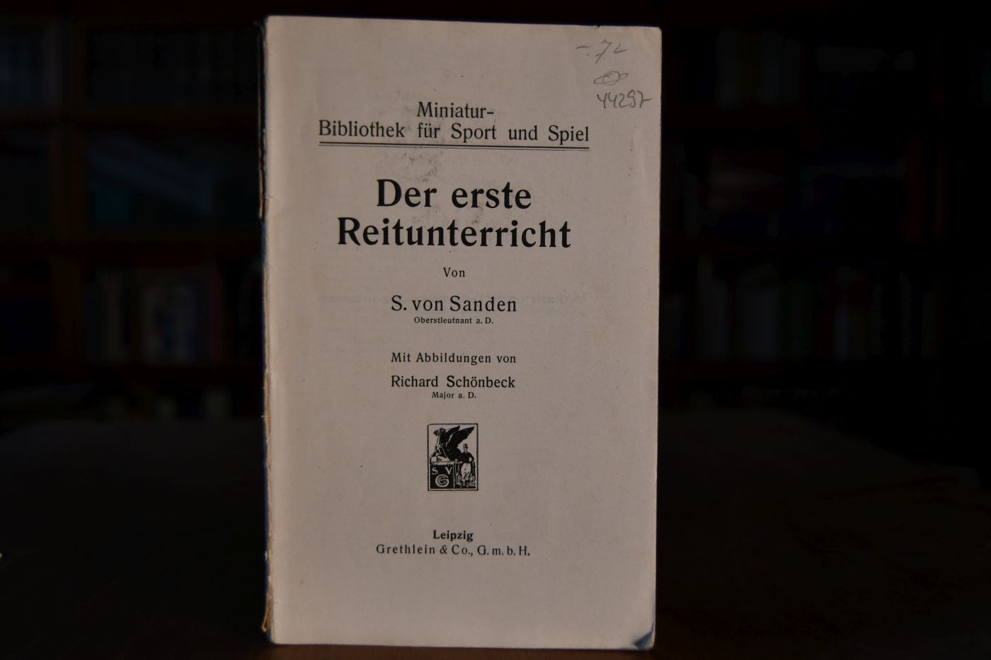 Der erste Reitunterricht.