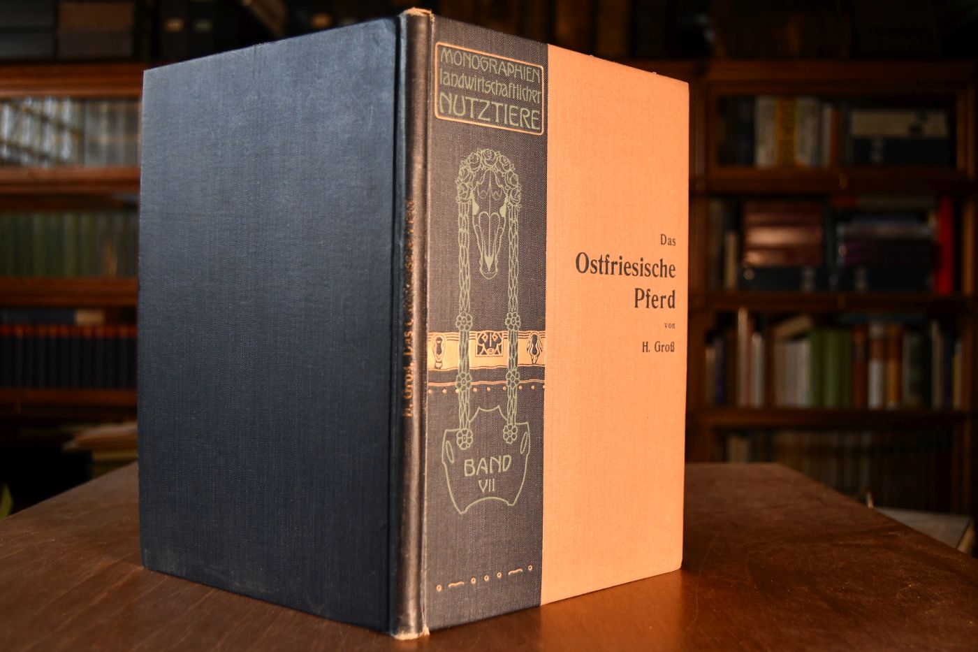 Das Ostfriesische Pferd.