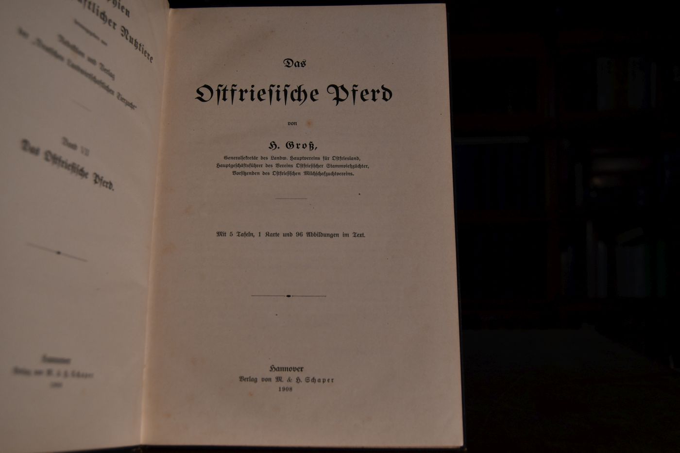 Das Ostfriesische Pferd.