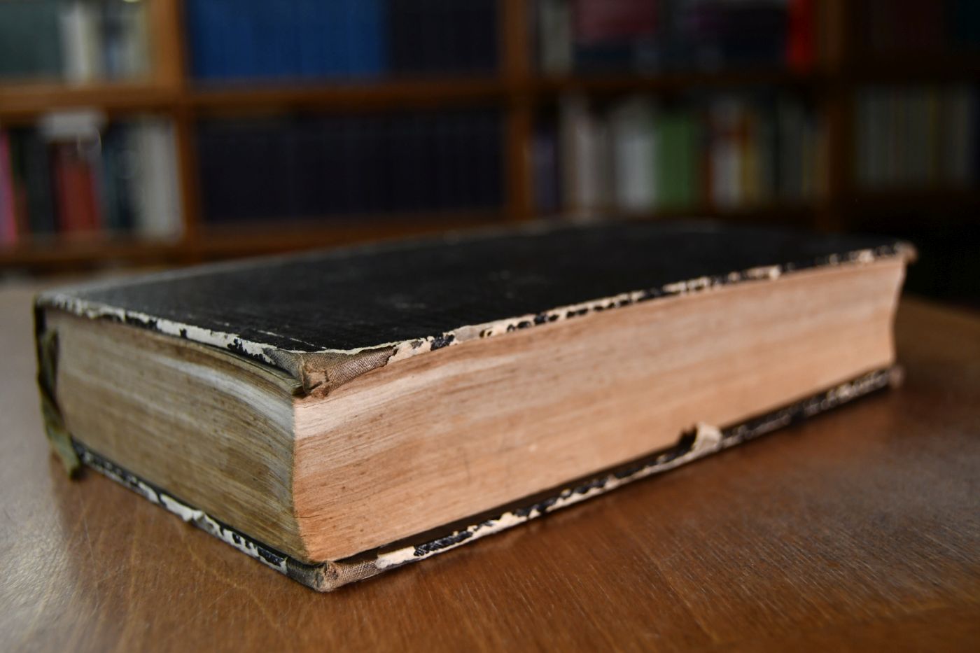 Zeugnisse von Christo als von dem, der da ist der Weg zum Himmel, die Wahrheit und das Leben aus Gott oder Neues Predigtbuch über den zweiten Jahrgang der sonntäglichen Evangelien in Württemberg...