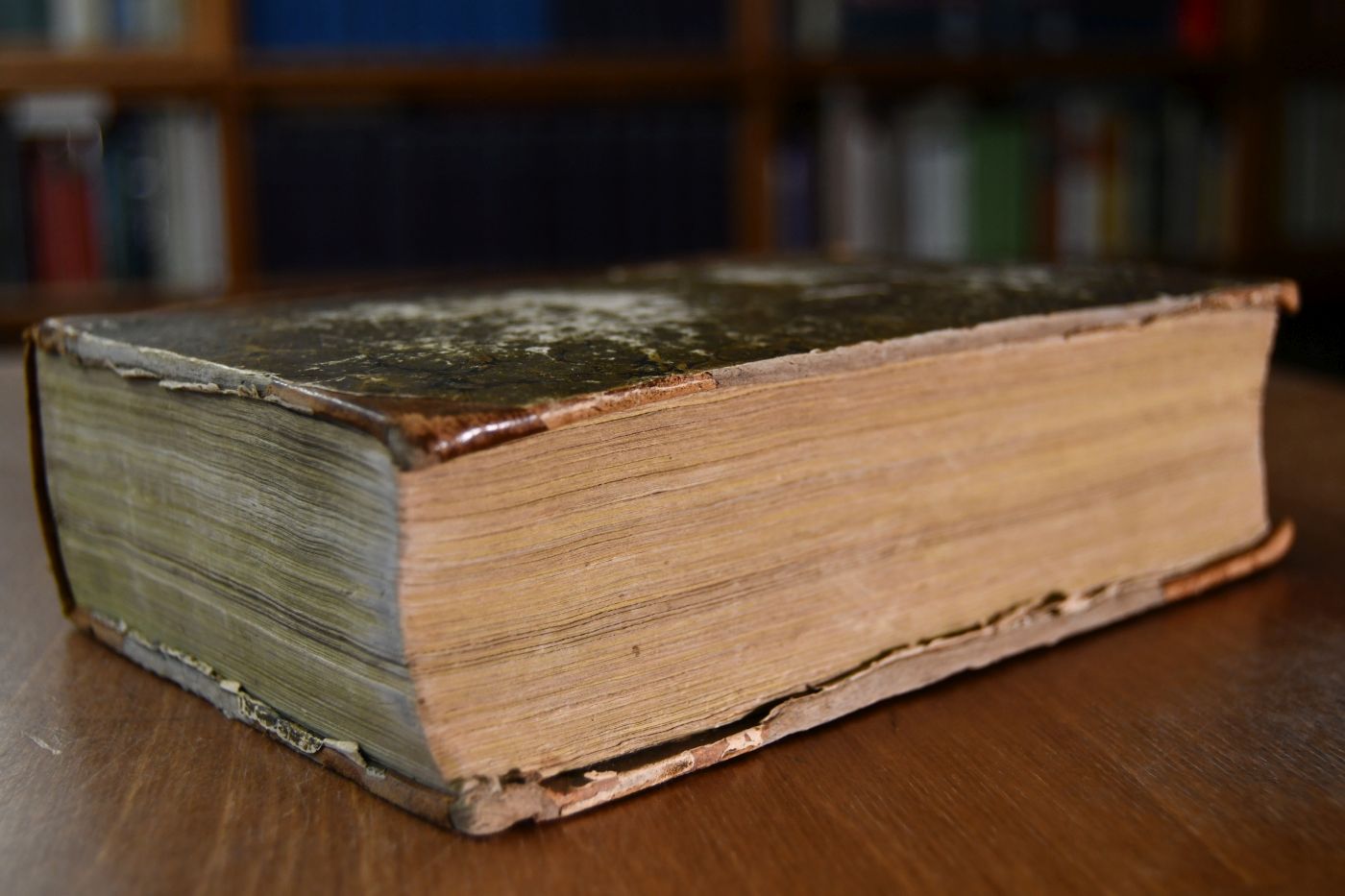 Die Evangelien-Predigten auf alle Sonn- und Feiertage, nebst kurzen Betrachtungen über alle Episteln und besondern Reden nach dem allgemeinen Wahrheitsgefühl - Anhang Die Sittenlehre Salomo`s in Vergleichung mit der Lehre Jesu in mehreren Predigten vorgestellt. Erster und zweiter Theil + Kurz gefaßte Lebensbeschreibung des seligen Prälaten Oetinger (komplett in einem Band).