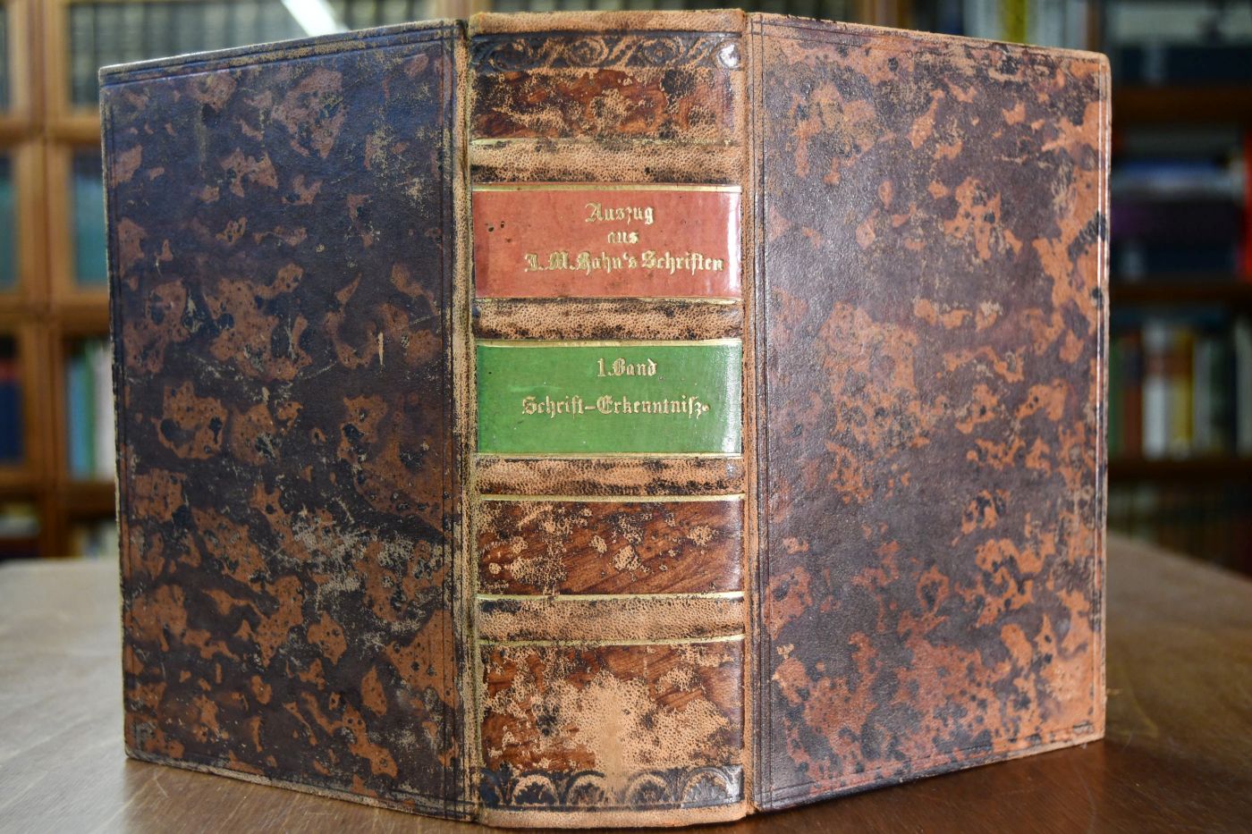 Auszug aus Johann Michael Hahn`s Schriften, enthaltend dessen Schrift-, Erfahrungs- und Erleuchtungs-Erkenntniß. Band 1 (von 2). Schrifterkenntniß