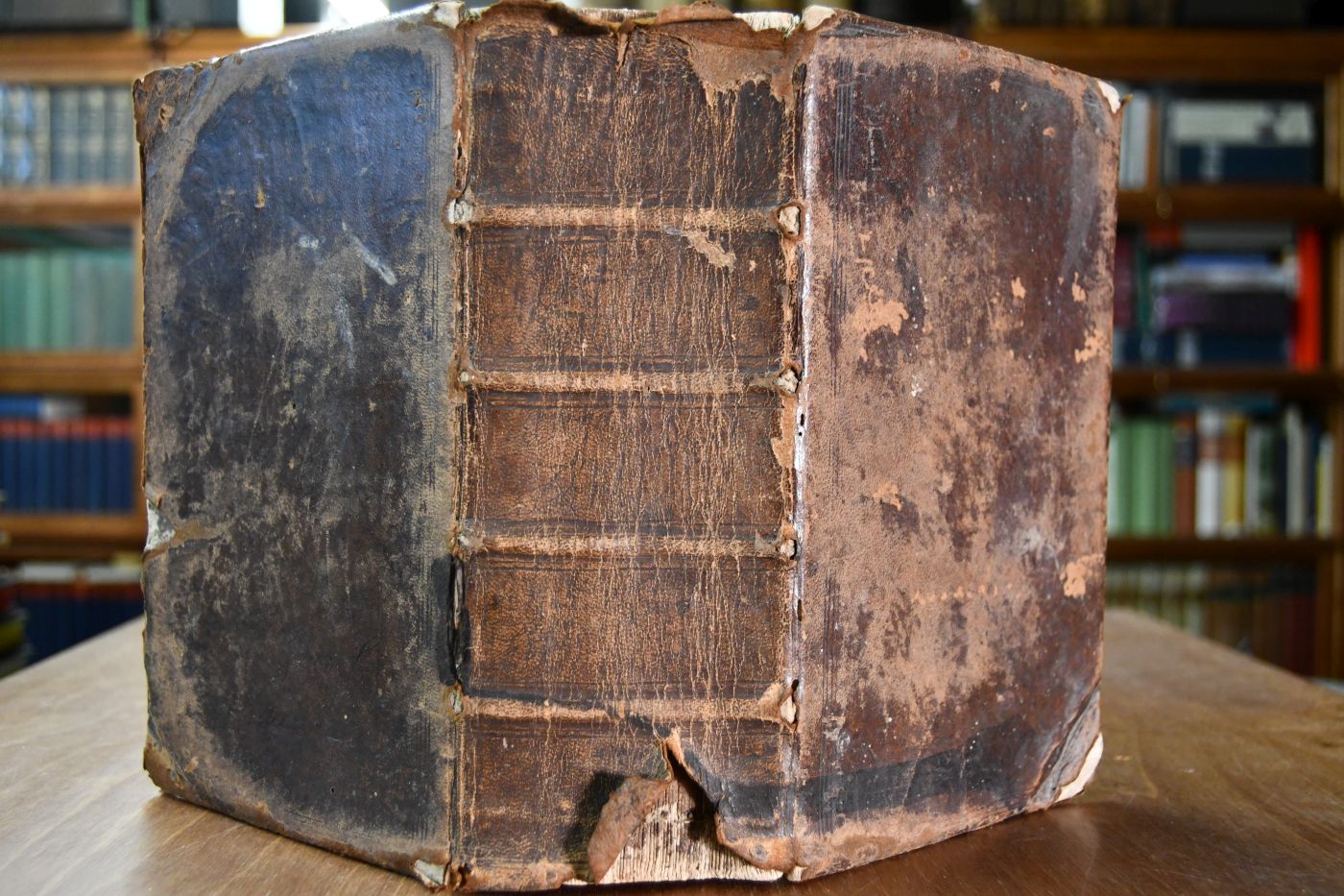 Die Bibel oder die ganze Heilige Schrift des Alten und Neuen Testaments, nach der deutschen Übersetzung Martin Luthers.